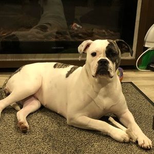 Meet your Posher, Donna